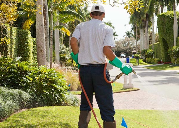 About Henderson IA Pest Control